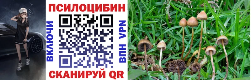 Галлюциногенные грибы мухоморы  Лянтор 